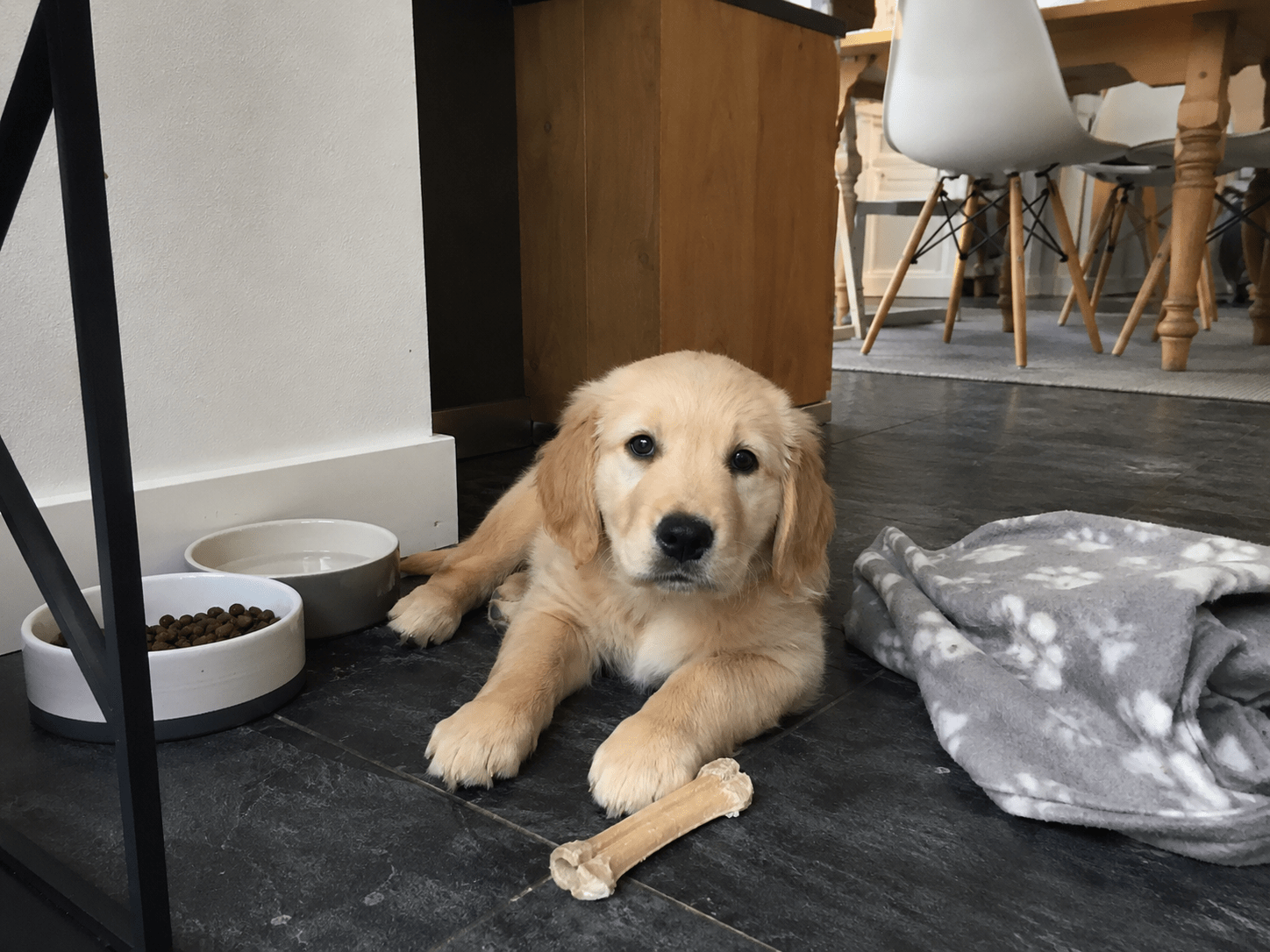 Golden retriever puppy ligt naast voerbakken, een kleed en een kauwbot in huiselijke setting.
